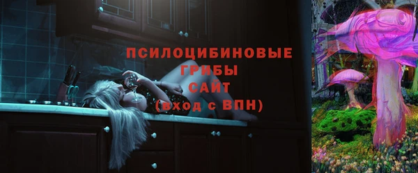 гидропоника Карталы