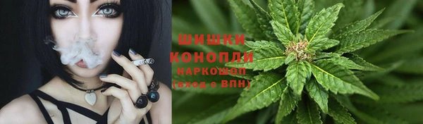 гидропоника Карталы