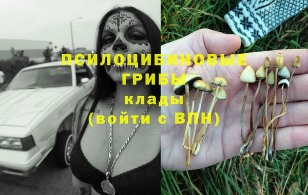 гидропоника Карталы