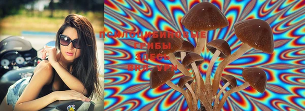 MDMA Premium VHQ Карпинск