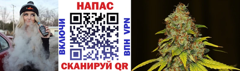 Купить где  Покачи  МАРИХУАНА Bruce Banner 